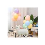 Makaraon Balonlu SeviMli Kedi Retro Renkli Folyolu Balon Doğum Günü Parti Seti Süsü