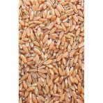 Makarnalık Sert Buğday Güvercin ,Tavuk, Ördek ,Kaz,Hindi Yemi 25 Kilo