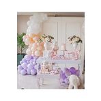 Makaron Pastel Balon Konsept Balon Zincir 100 Adet