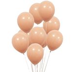 Makaron Somon Balon 10lu