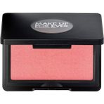 Make Up For Ever Artist Face Powders B220 - Allık