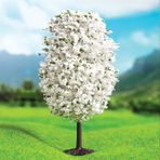 Maket Beyaz Dağ Çamı 8Cm - 2'Li