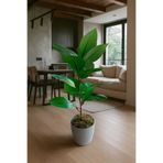 MAKİ DEKOR YAPAY KAUÇUK AĞACI 65 CM BOYUNDA 15 YAPRAKLI DEKORATİF SALON BİTKİSİ