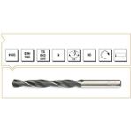 Makina Takım 2.5 mm HSS Silindirik Saplı Kısa Matkap Ucu