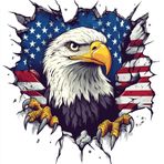 MAKTEM Amerikan Kel Kartal Araba Çıkartması, Tampon Penceresi Arka Panel için Otomatik Kalıp Kesim Çıkartması, Patriot Kartal Çıkartması Araba Aksesuarı, Amerikan Pride Çıkartması, 1 ADET (A)