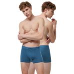 Malabadi 2M075 2'li Mavi Erkek Boxer