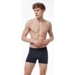 Malabadi Erkek Füme Milan Modal Boxer 014