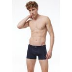 Malabadi Erkek Füme Premium Collection Modal Boxer 251