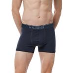 Malabadi Erkek Premium Collection Modal Boxer 252 (Füme, XL)