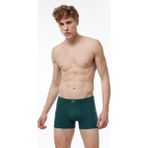 Malabadi Erkek Yeşil Pamuk Elastan Boxer 074 - 2XL