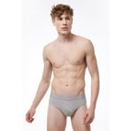 Malabadi Gri Erkek 2 Li Modal Slip Külot 080