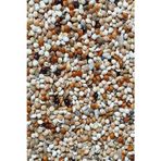 Malatya 5 kg Ekmeksiz Özel Muhabbet Kuşu Yemi