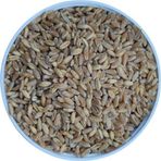 Malatya Yem Elenmiş Buğday -25Kg