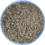 Malatya Yem Elenmiş Buğday-Tavuk-Güvercin-Horoz Yemi-10Kg