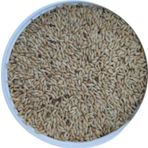 Malatya Yem Sade Kanarya Yemi-Aspur-20Kg