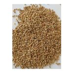 MALATYAYEM 25 Kg Sade Muhabbet Kuşu Yemi Sarı Darı