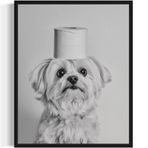 Malta Banyo Duvar Sanatı Baskı Poster, Köpek Evcil Hayvan Tuvalet Kağıdı Posterler Baskılar Ev Resim Resim Sanat Eseri Dekor 134 (Malta, 8 x 10 inç, Çerçevesiz)