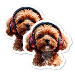 Maltipoo Magnet 10 cm 2'li Paket - Güçlü Vinil Dekoratif Hayvan Mıknatısları Buzdolabı Dolabı Mutfak Ofis için - Sevimli Eğlenceli Estetik Serin, Dayanıklı ve Uzun Ömürlü Hatıra Eşyası ID44999