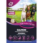 Mama Evim Professional Paws Premium Hipoalerjenik Somonlu Yetişkin Köpek Maması (15KG) - paket
