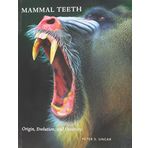 Mammal Teeth: Origin, Evolution, and Diversity by Peter S. Ungar(2010-08-31)