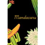 Mandacaru: Uma joia do sertão, admirada pela sua beleza e significado cultural. Esta flor só abre à noite e vive em solo fraco e seco. (Flores do nordeste brasileiro)