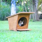 Mandu Ahşap Mini Kedi Evi (Yeni Doğan Evi) - Ahşap Rengi