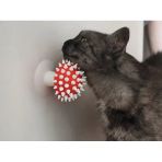 Mantar Görünümlü Kedi Kaşıma Oyuncağı Tımar Mantarı Duvara Yapıştırılabilir