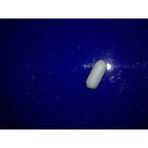 Manyetik Balık Teflon Kaplı 4 x 10 Mm