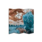 Manzara Temalı Özel Tasarım Paravan Room Divider PRV1186, 180 x 180