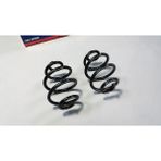 MAP Autoteile 2 x Bmw 3 Serisi E36 M40 M50 M52 Helezon Yayı Arka Set 249MM - 001-Renkli