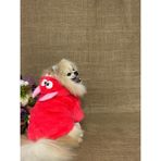 Maria Pet Fashion Dinazor Şapkalı Köpek Kıyafeti/tavşan Peluş Kırmızı Mont/peluş Sweat Ceket/kedi Köpek Kıyafeti - 4