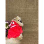 Maria Pet Fashion Dinazor Şapkalı Köpek Kıyafeti/tavşan Peluş Kırmızı Mont/peluş Sweat Ceket/kedi Köpek Kıyafeti - 5