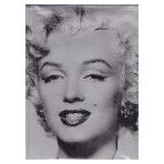 Marilyn Monroe and the Camera