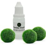 Marimo Scape 3 Adet Şans Getiren Marimo (1-2 Cm) + Marimo Feeder