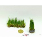 Marimo Scape Eleocharis Parvula