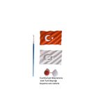 Marka Taş tozu Türk Bayrağı Boyama Seti