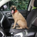 Markaflex Araba Oto Araç Koltuk Kılıfı Örtüsü Sıvı Su Geçirmez Evcil Hayvan Kedi Köpek Ön Koltuk Örtü (1 Adet) - 55 x 130 cm