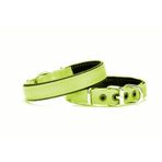 Markapet 2x45 cm Yeşil Yumuşak Doku Köpek Boyun Tasması