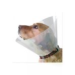 markapet ERP-IMP2102 Elizabeth Kedi Köpek Yakalığı Small 12,5Cm Ø/ 28-33Cm