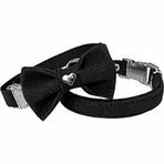 Markapet Kadife Papyonlu 20-32 cm Siyah Kedi Boyun Tasması