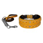 Markapet XL 7 cm*60-68 cm Sarı Elegance Deri İşlemeli Lüks Köpek Tasma Seti