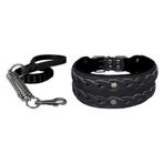 Markapet XL 7 cm*60-68 cm Siyah Elegance Deri İşlemeli Lüks Köpek Tasma Seti