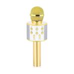 MarkEntegra Babilden C-8501 Karaoke Mikrofon Bluetooth USB & Tf & Aux (Gold)