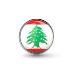 Market66 Lübnan Yaka Rozeti Lebanon Bayrağı Paslanmaz Çelik İğneli Büyüteçli Rozet