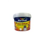 Marshall 2,5 lt Mavi Çam Maximum Silikonlu İpek Mat Boya
