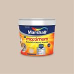 Marshall Maximum Silikonlu İpek Mat 2.5 lt 3.5 kg Patika Duvar Boyası