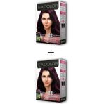 Marsilyan 2x2 Tüp Krem Saç Boyası Seti Patlıcan Moru No:3.66
