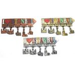 Marsilyan Istanbul Temalı Metal Magnet Model 7 - Renkli - standart