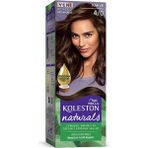 Marsilyan Naturals Saç Boyası Kahve 4/0