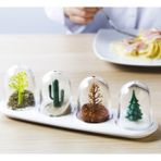 Marsilyan Seasoning Shakers Dört Mevsim Baharatlık - Renkli